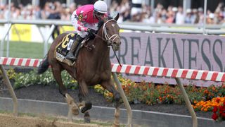 Rombauer running the Preakness Stakes horse race