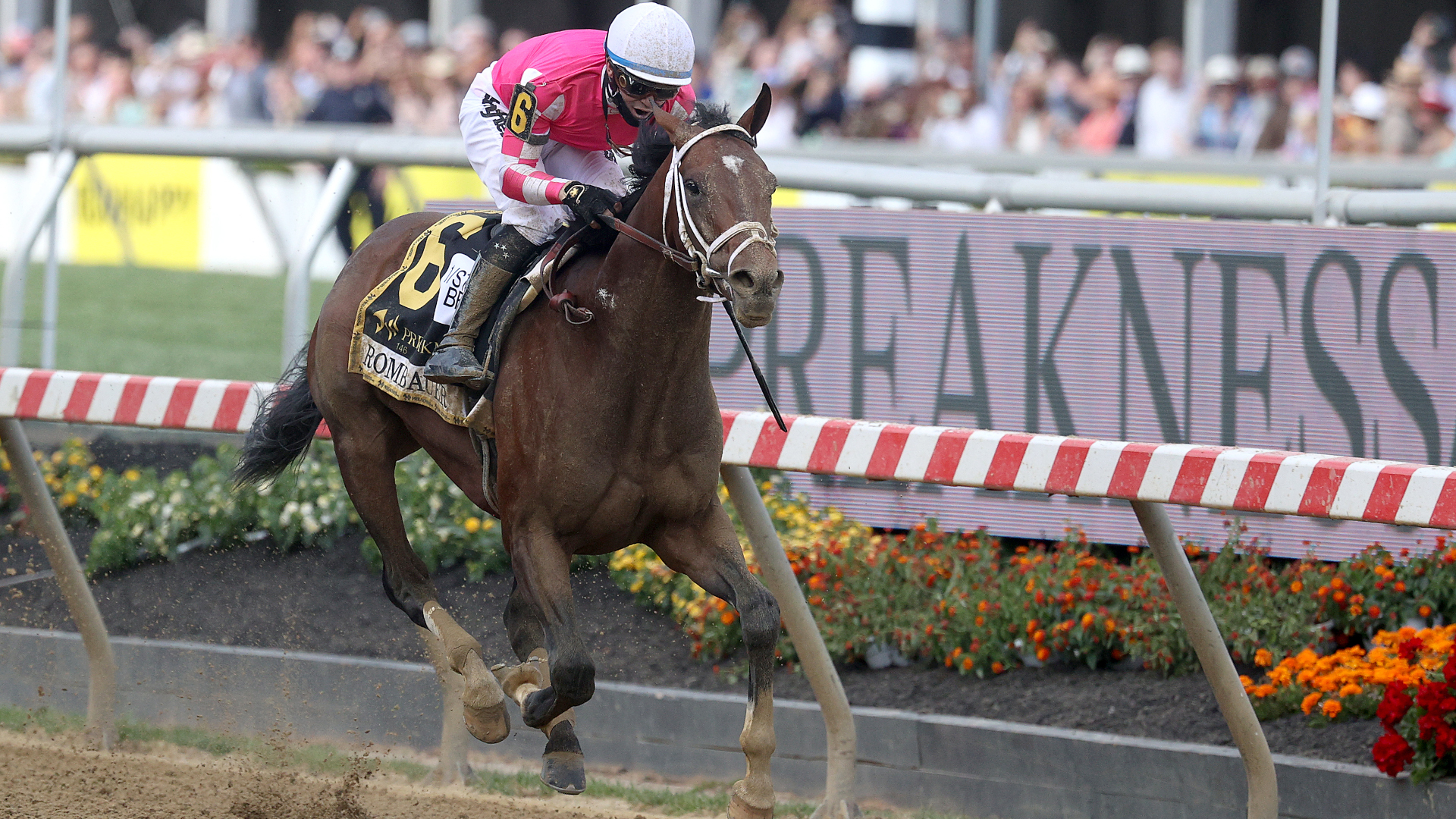 2022 Preakness Stakes live stream: how to watch, start time, TV channel,  odds, horses | What Hi-Fi?