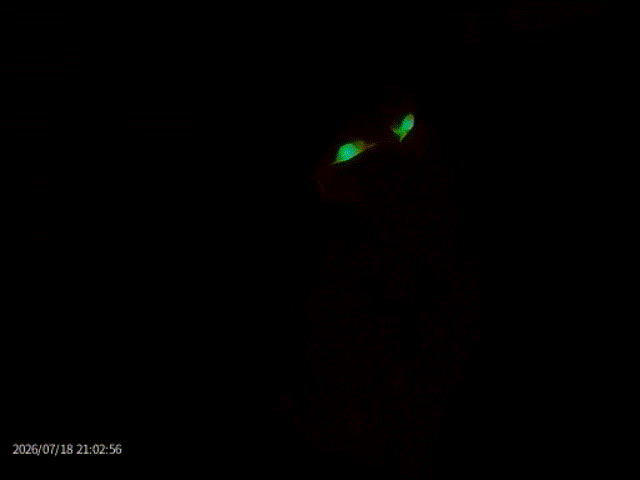 Thermal Master DV2 sample.
