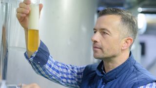 A Brewer Inspects A Glass Tube Full Of Beer For Quality