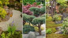 composite image of Japanese garden ideas – gravel garden, Niwaki tree, moss lawn