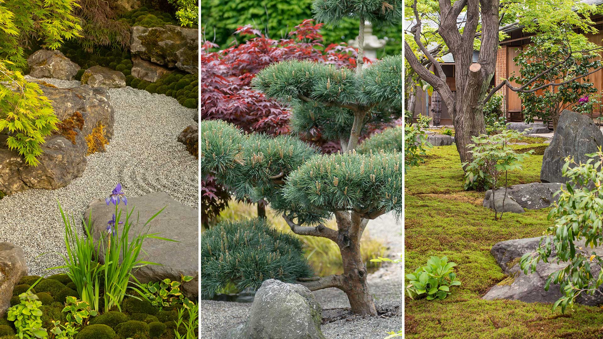 composite image of Japanese garden ideas – gravel garden, Niwaki tree, moss lawn