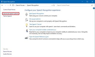 speech on desktop computer