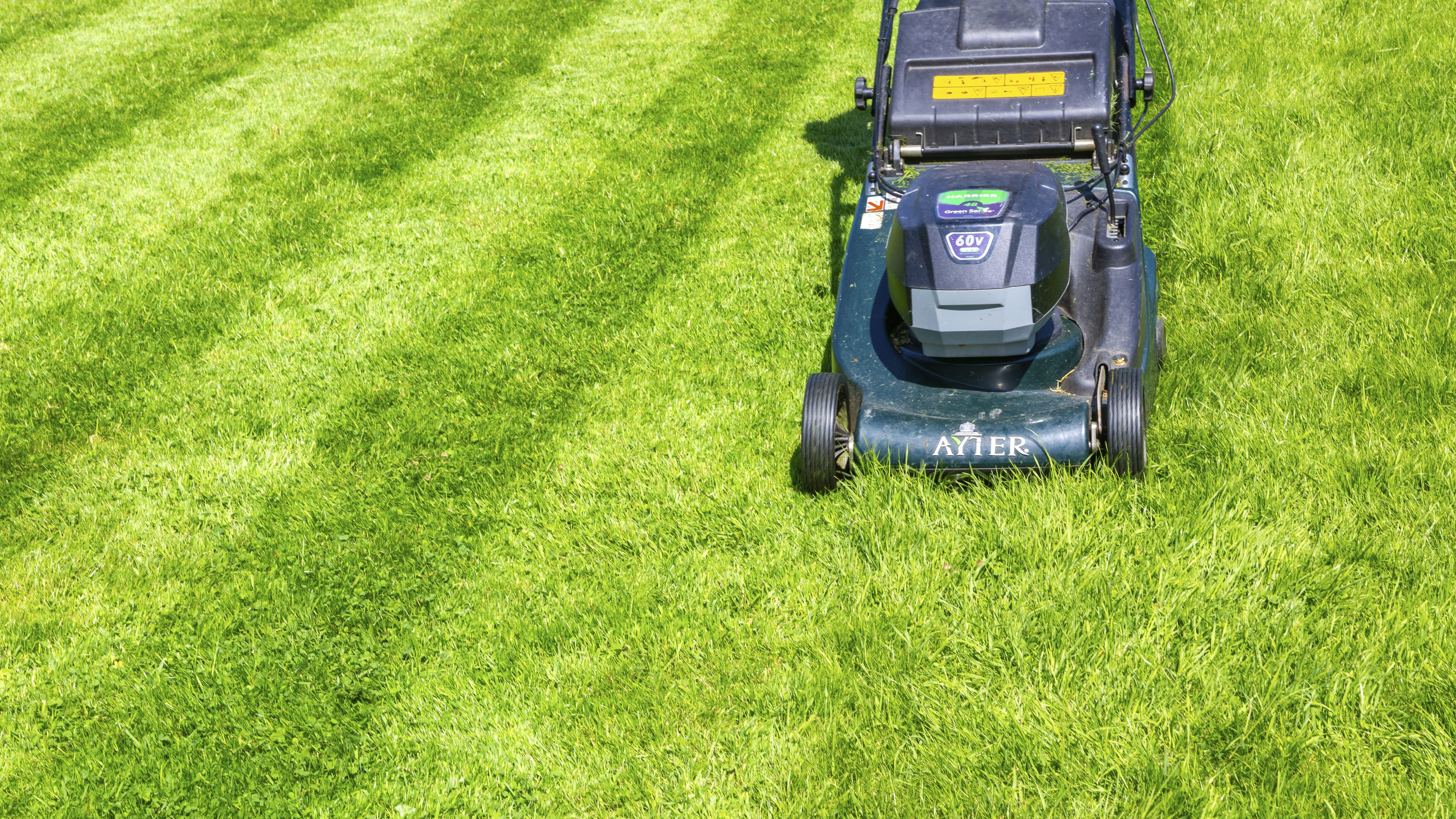 Lawnmower cutting stripes in one direction