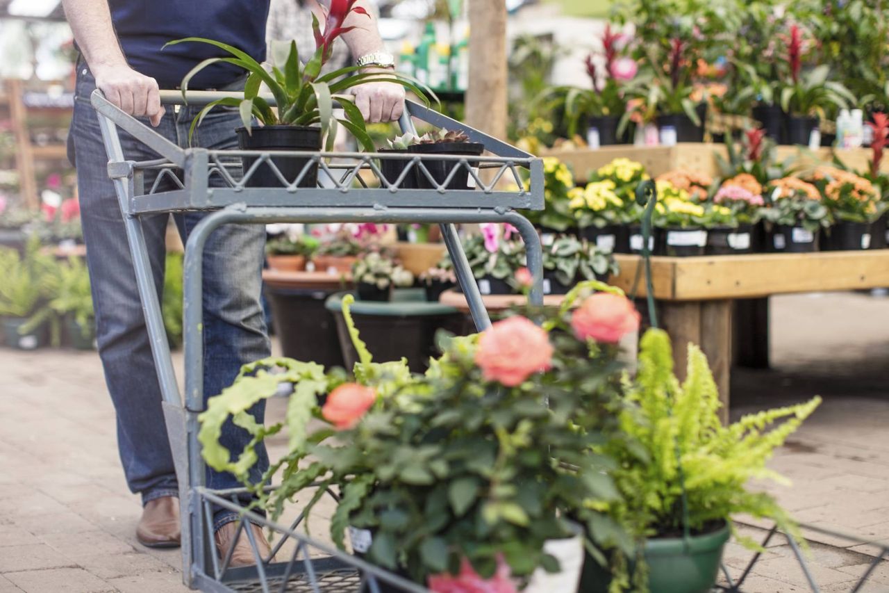 which garden centres are open tomorrow?