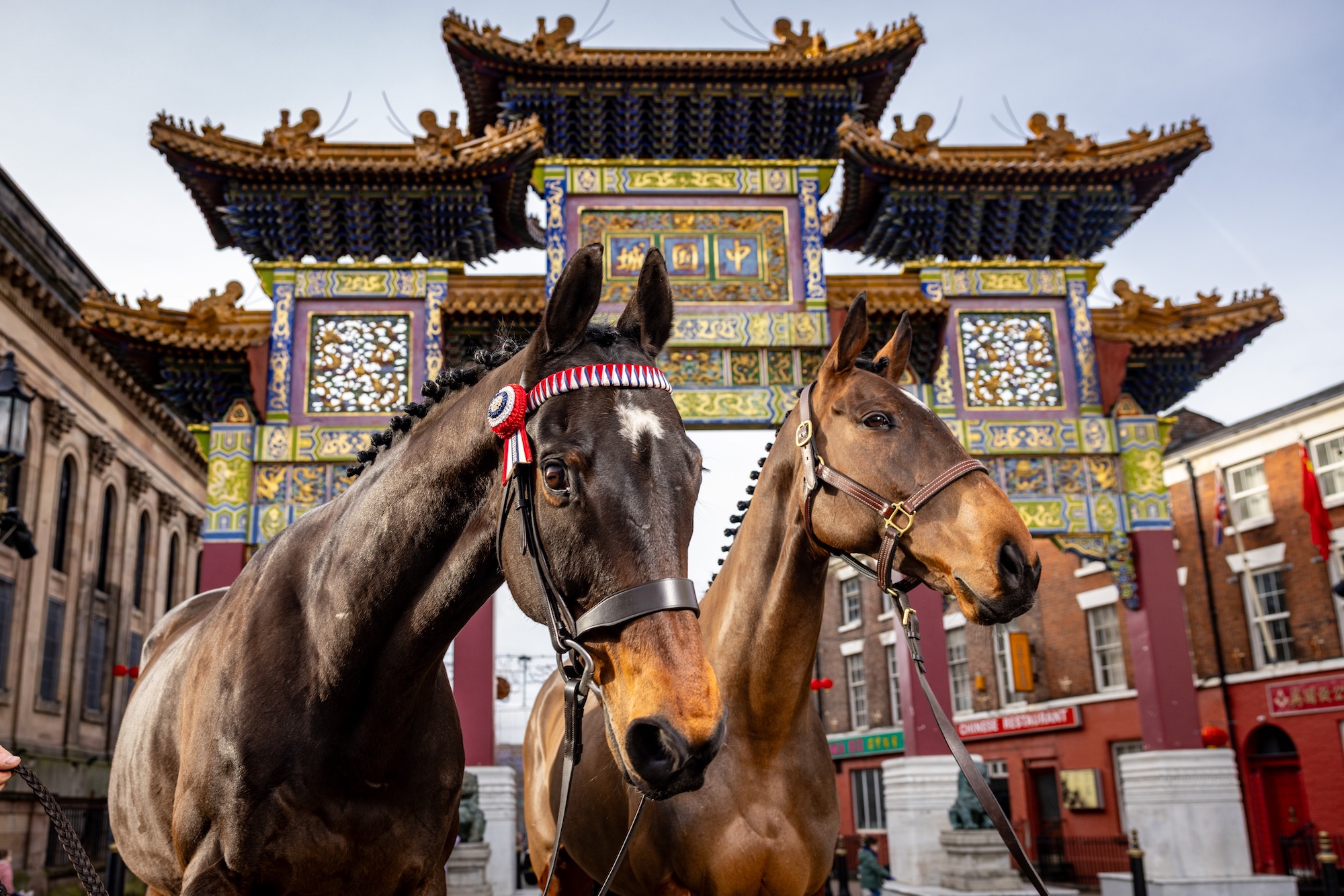 Racehorses Kemboy and Nora The Explorer mark the year of the horse under Liverpool's Chinese arch