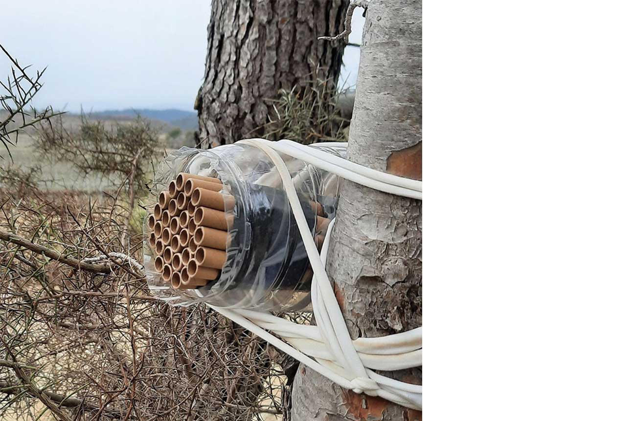 DEC287.regenerative_viticulture.bee_hotel.jpg