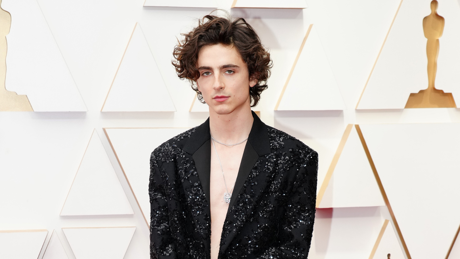 How Timothée Chalamet turned storage into a statement piece | Homes and ...