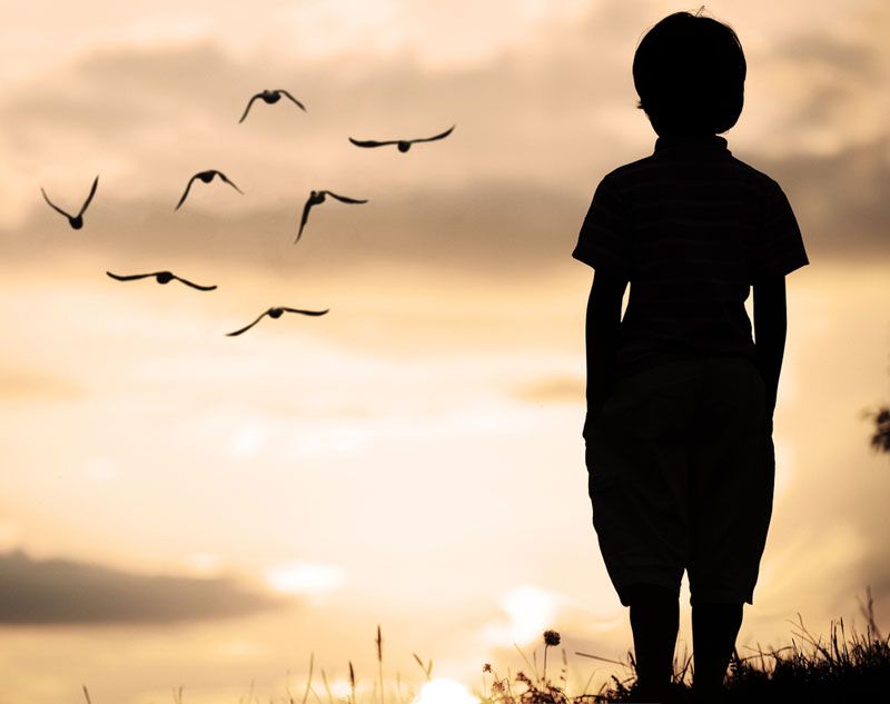 A boy standing in a field