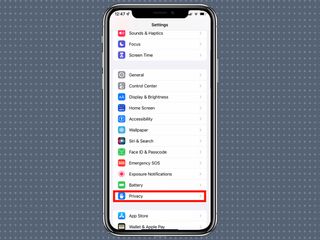set up app privacy report by tapping privacy in settings app