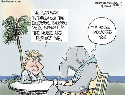 Political Cartoon U.S. trump house gop impeachment