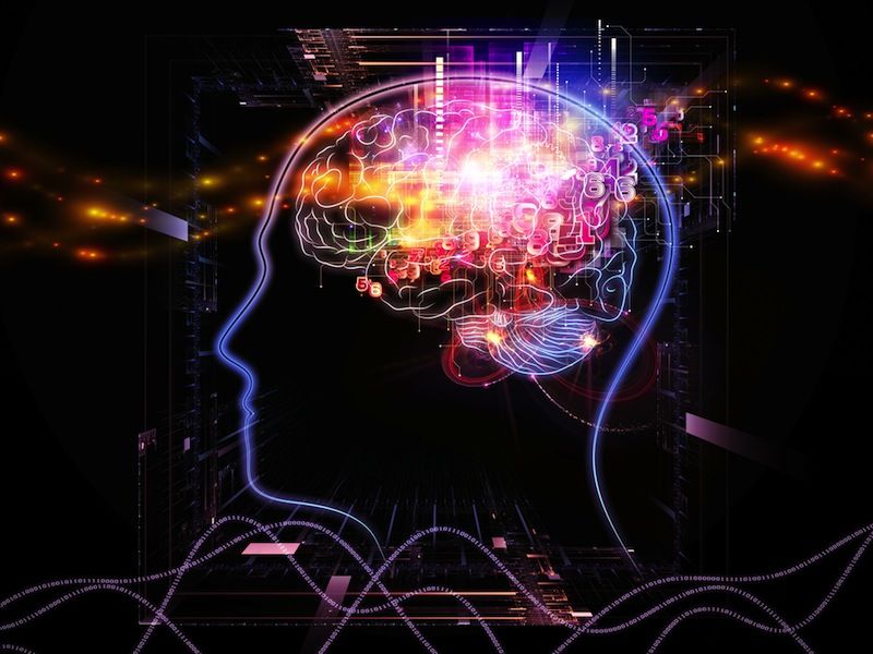 BraintoBrain Link Makes 'Mind Control' Possible Live Science