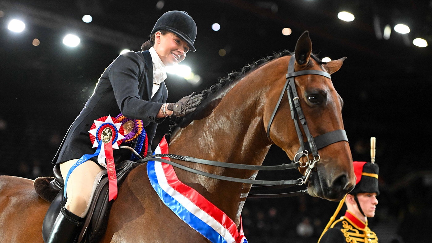 HOYS 2024 SMALL SHOW HUNTER OF THE YEAR