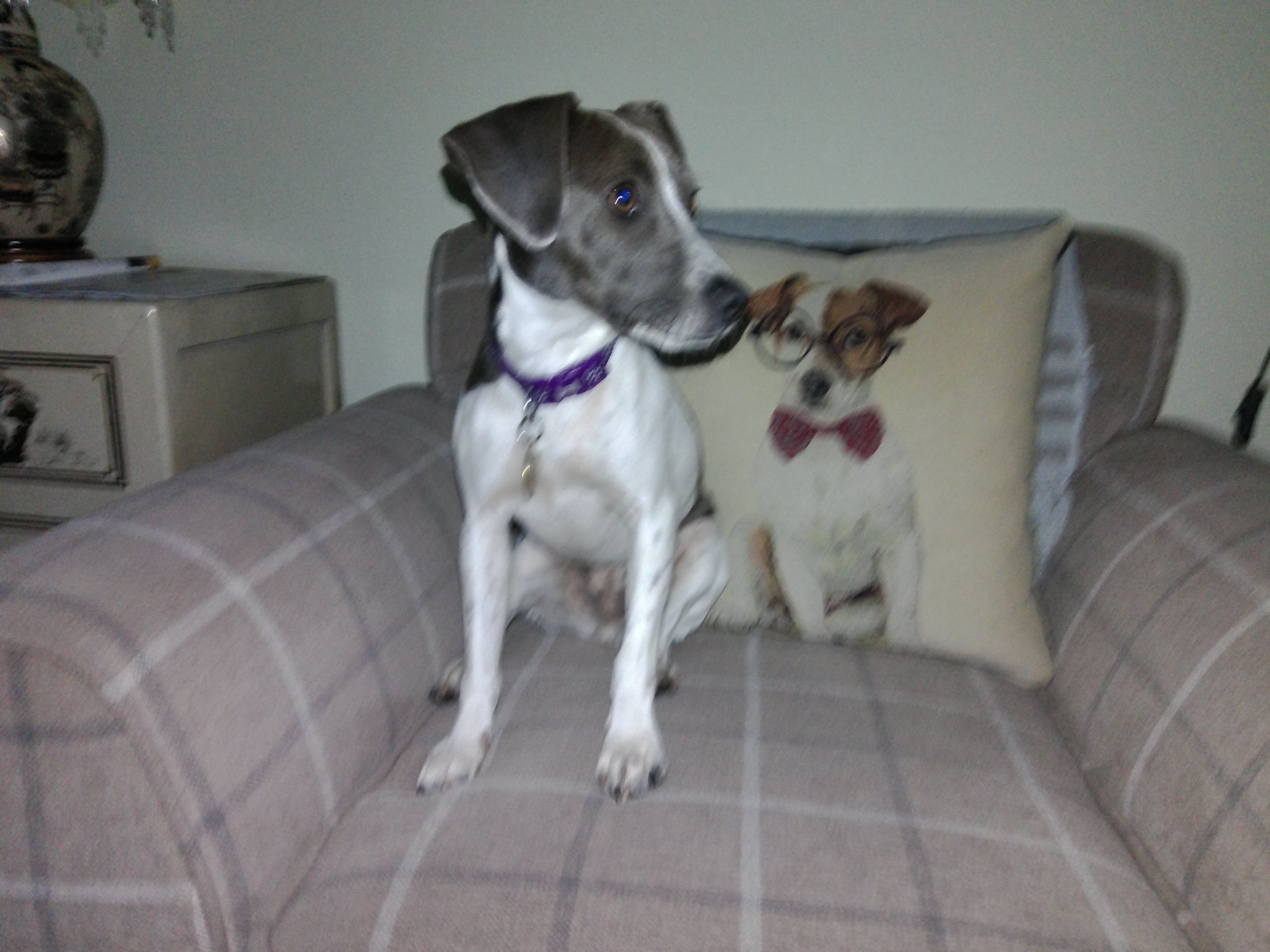 Kodak PixPro C1 sample image