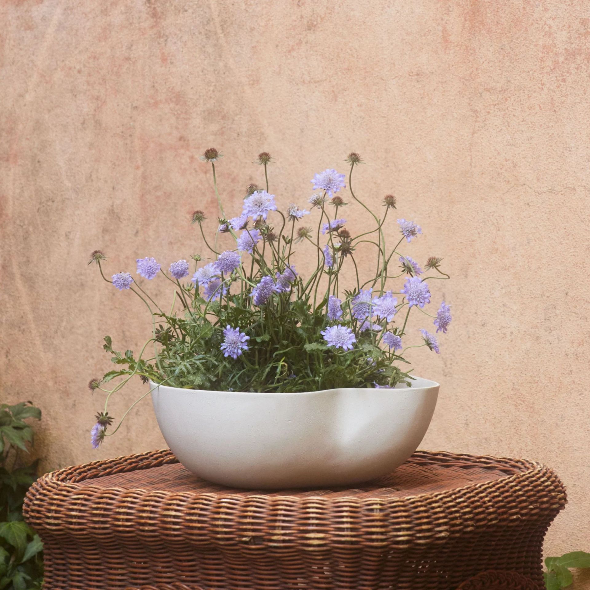 Dempsy Low Planter against a terracotta wall.