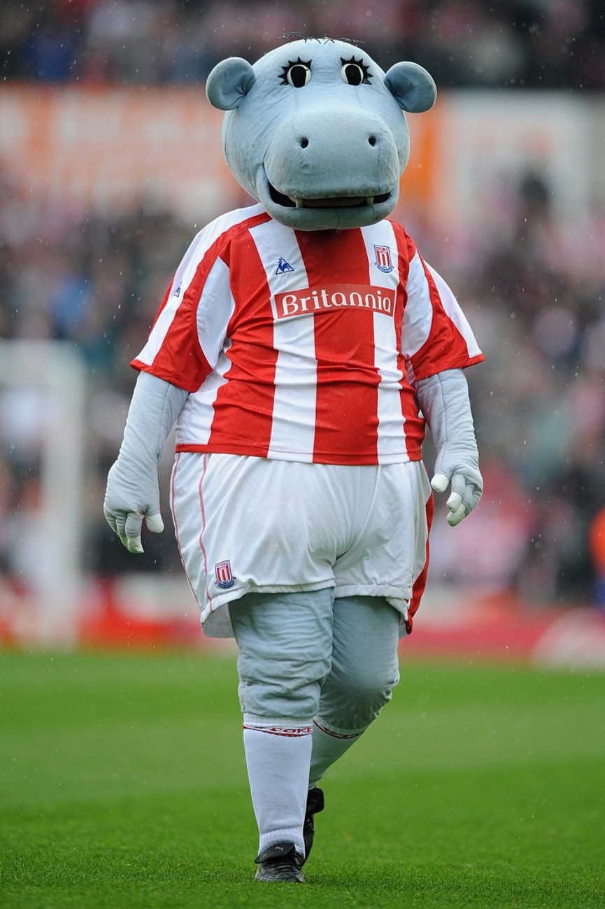 this-seasons-premier-league-mascots-ranked-17-1556679159-0BzO-column-width-inline