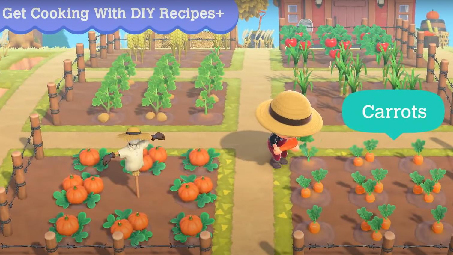 Animal Crossing Cooking: Ingredients and how to unlock cooking in