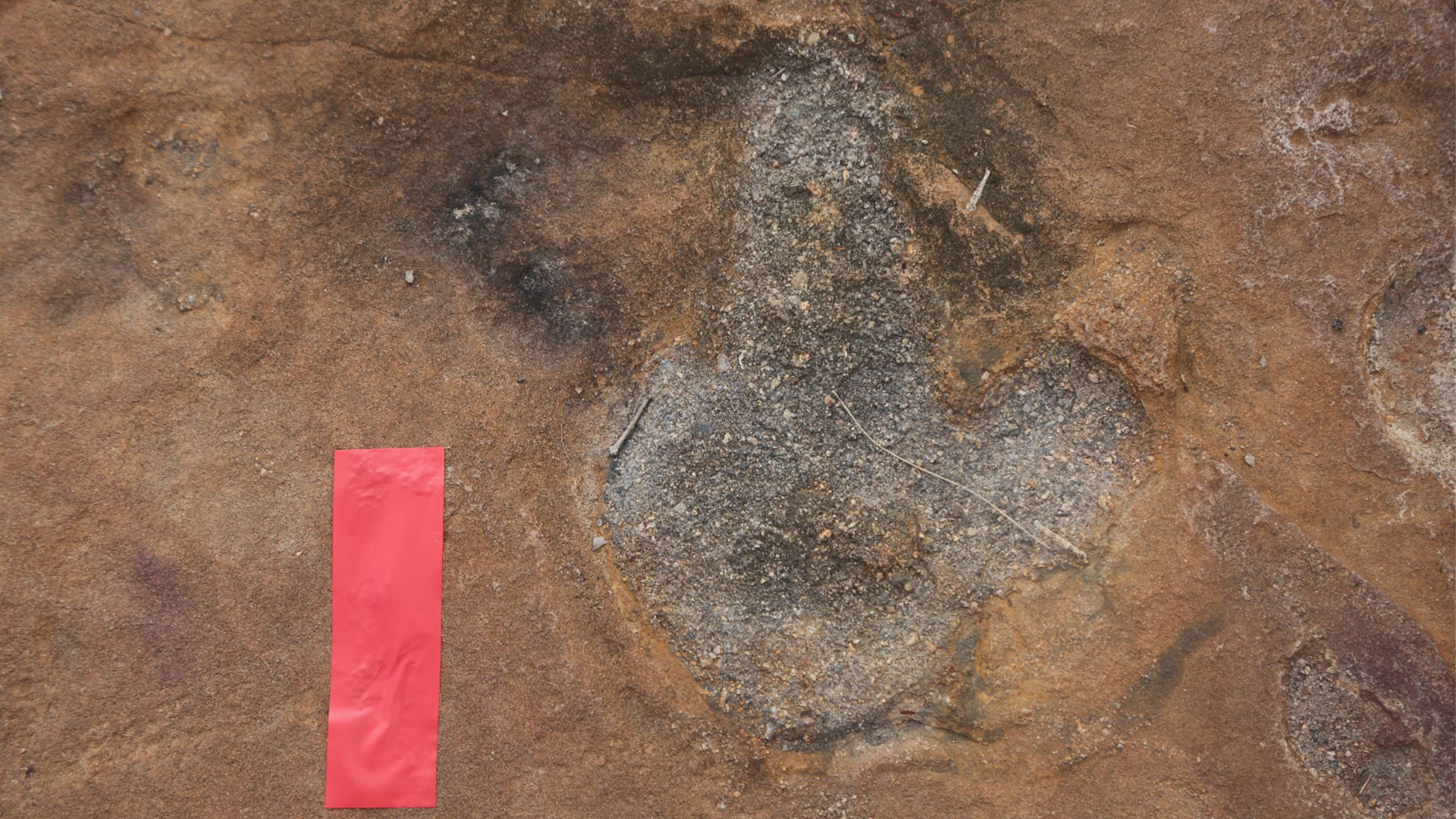The site has dinosaur footprints from various beasts, including theropods, sauropods and ornithopods.