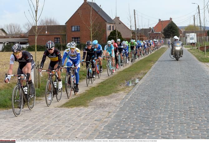 The peloton avoids the cobbles on the side path of Dwars door Vlaanderen