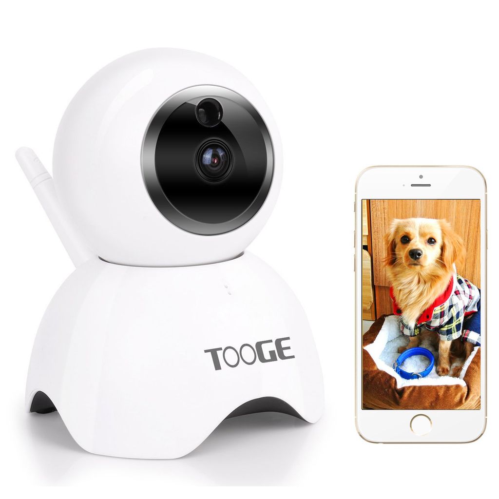 These Prime Day pet cam deals are barking mad - Real Homes