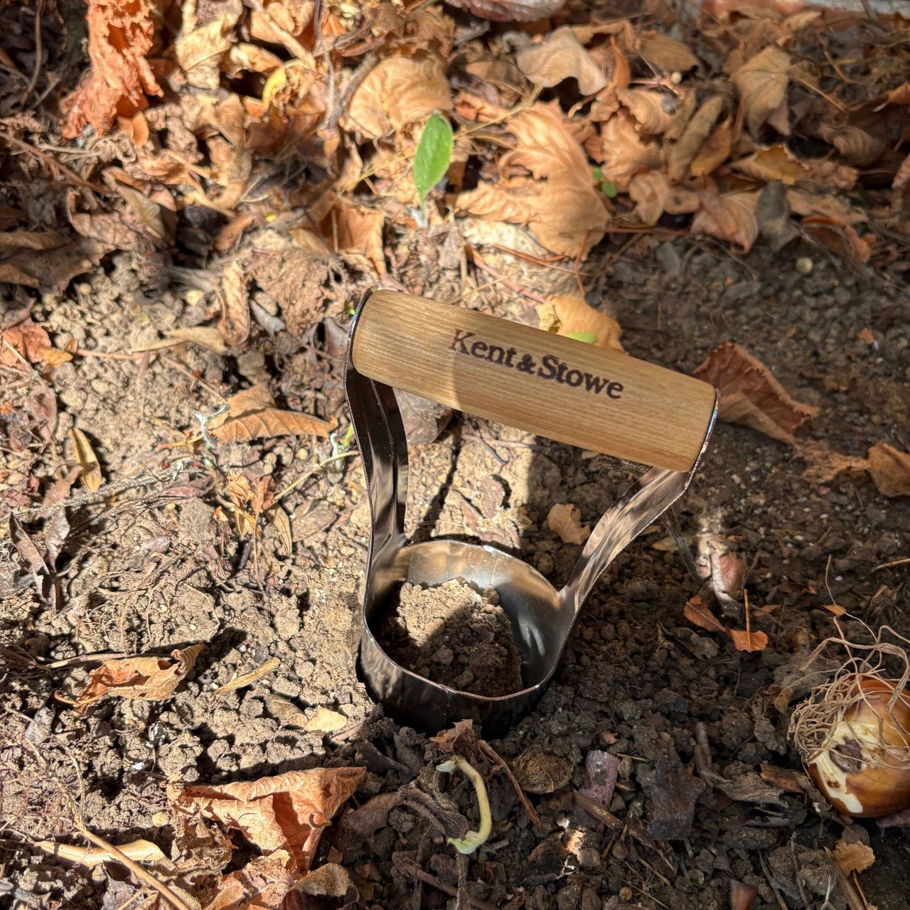 Kent &amp; Stowe Hand Bulb Planter in soil