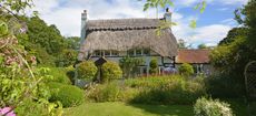 Foxgloves - Thatched cottage in the New Forest