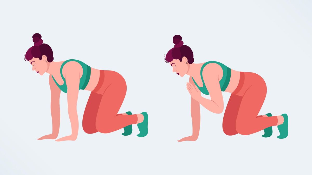 an illo of the bear plank shoulder tap