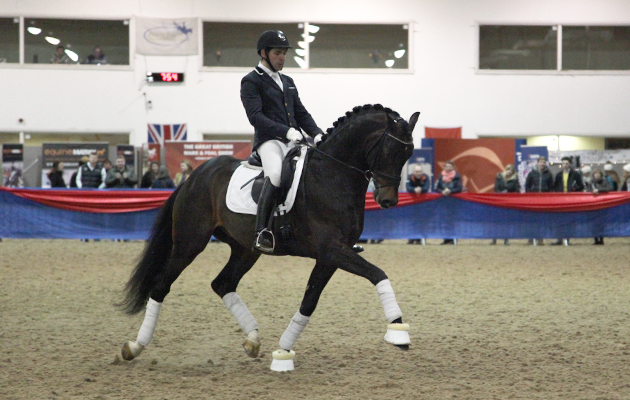 franlin-stallion-show2.jpg