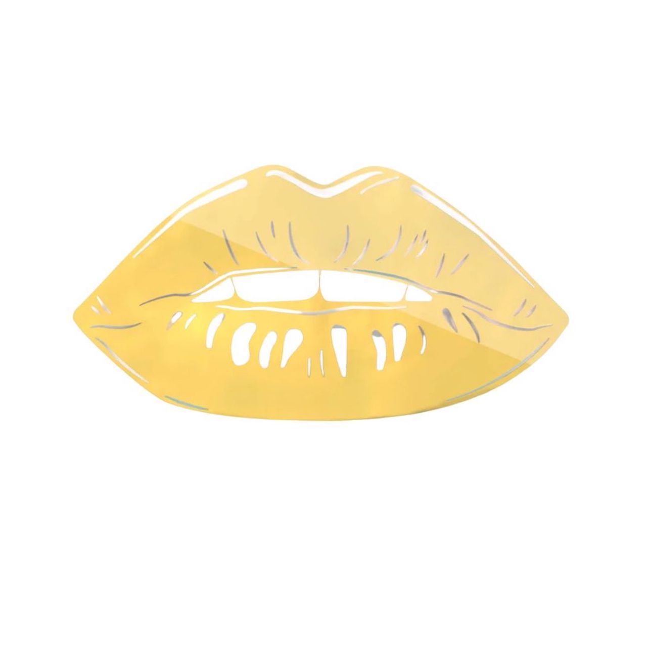 Bibir mencerminkan seni dinding akrilik