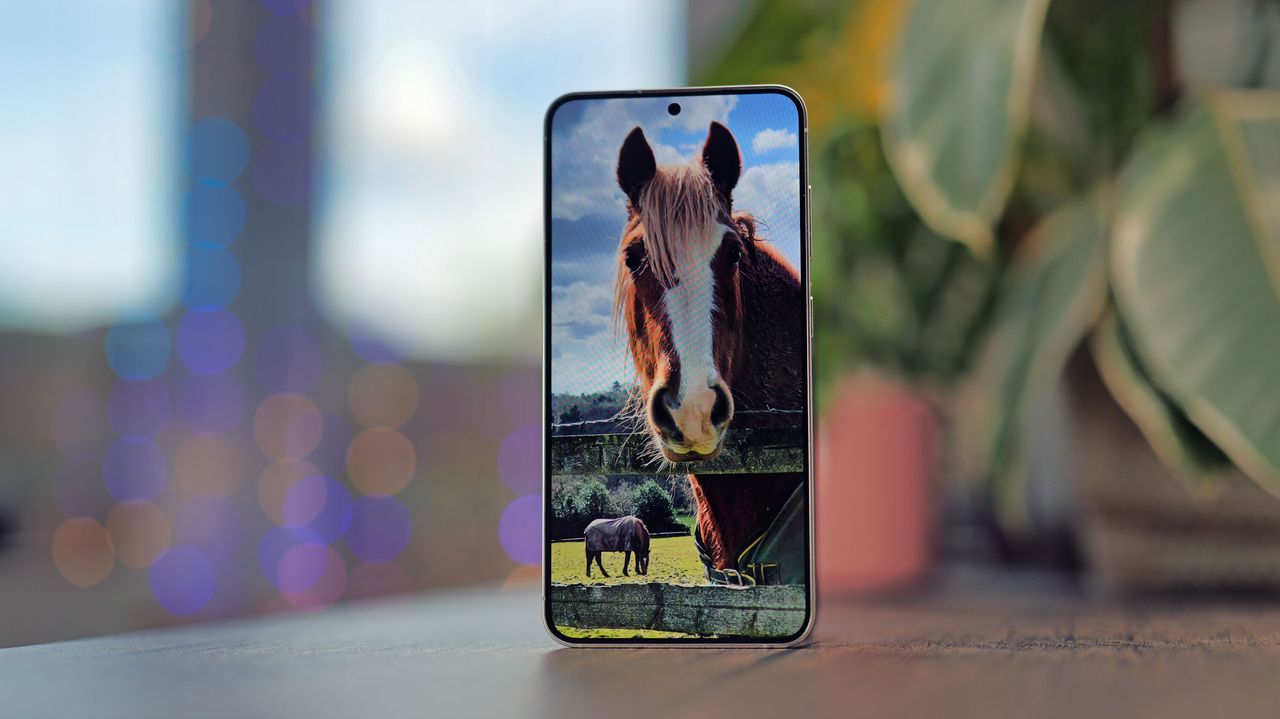 Samsung Galaxy S24 phone showing a picture of a horse