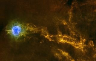 Dense filaments of gas in the IC5146 interstellar cloud, in an infrared photo from ESA’s Herschel space observatory.