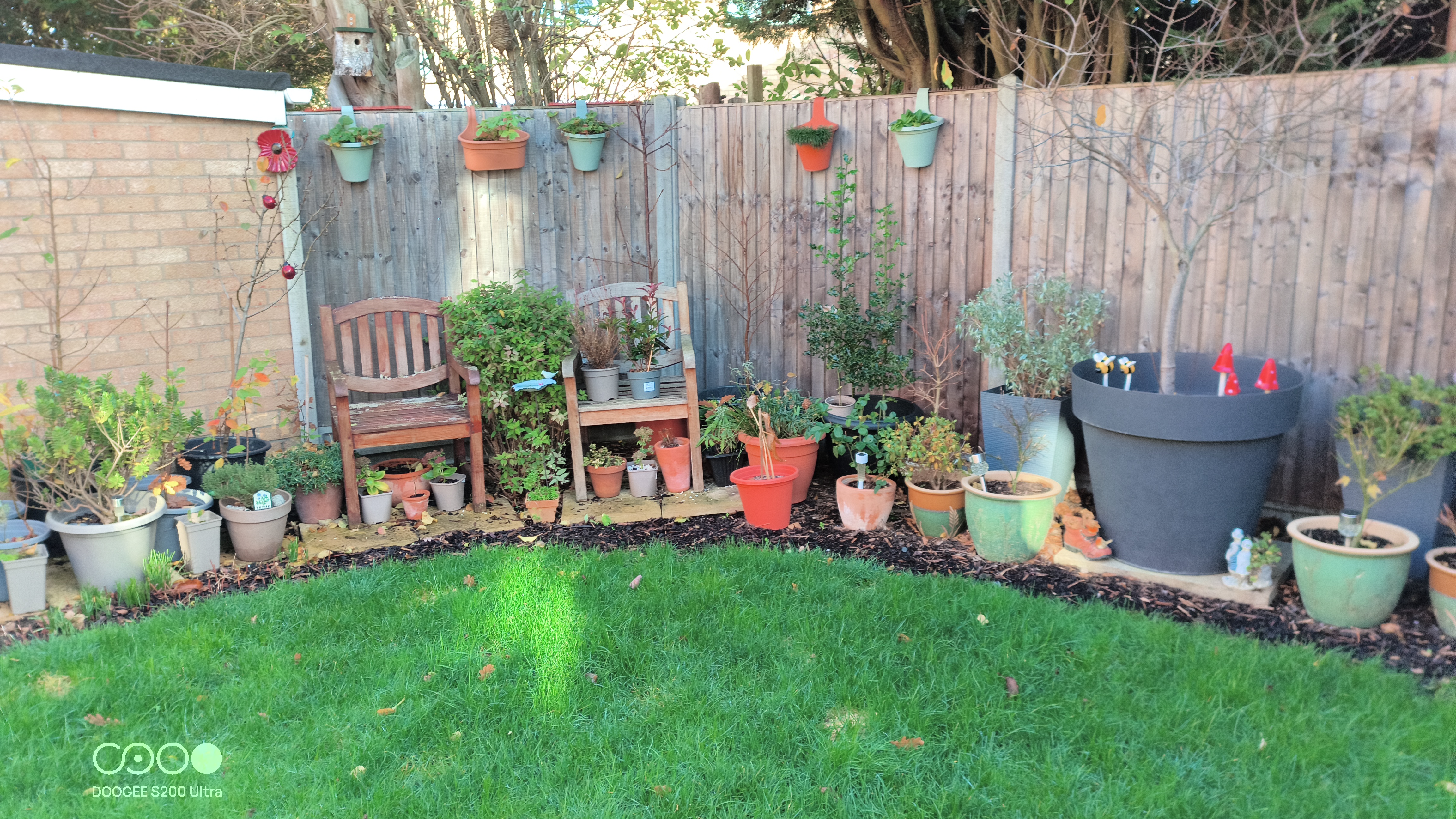 Doogee S200 Ultra Photo Examples