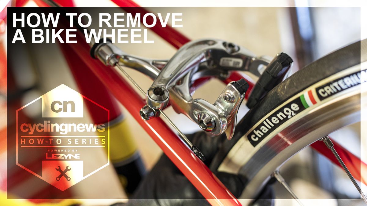 How to fit a bike wheel