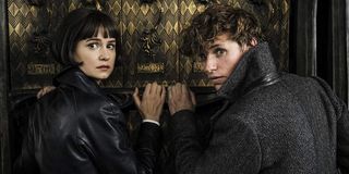 Tina Goldstein and Newt Scamander in Fantastic Beasts: The Crimes of Grindelwald