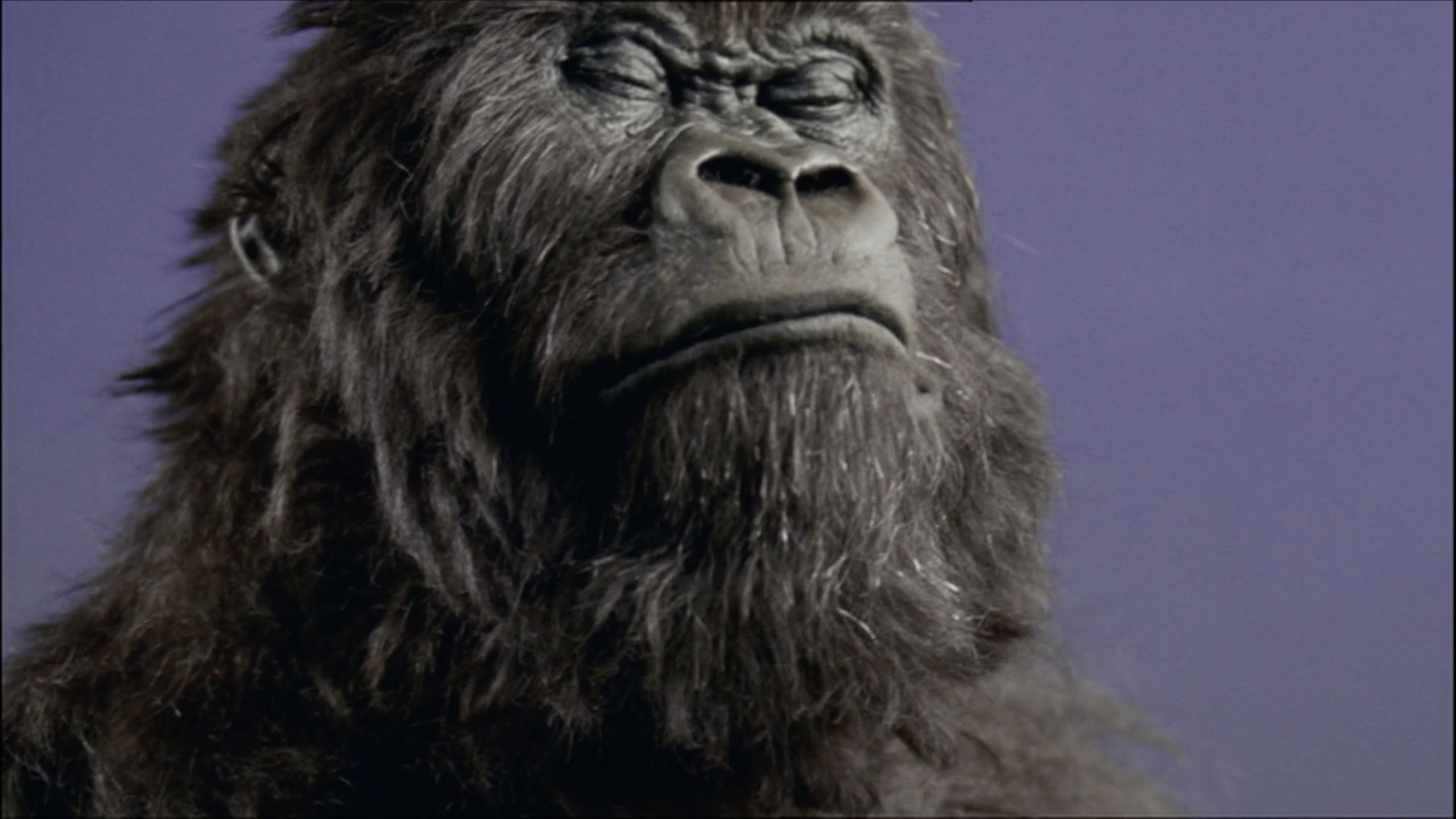 From Cadbury's drumming gorilla to Guinness' surfing horses, the story behind Britain's best TV ads