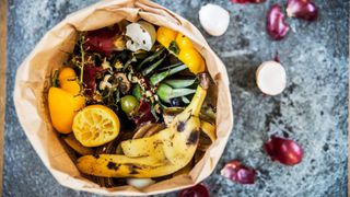 picture of food scraps in a waste bin