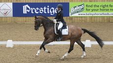Nathalie Kayal and DHI Cleverboy winning the Superflex inter I at the Winter Dressage Championships
