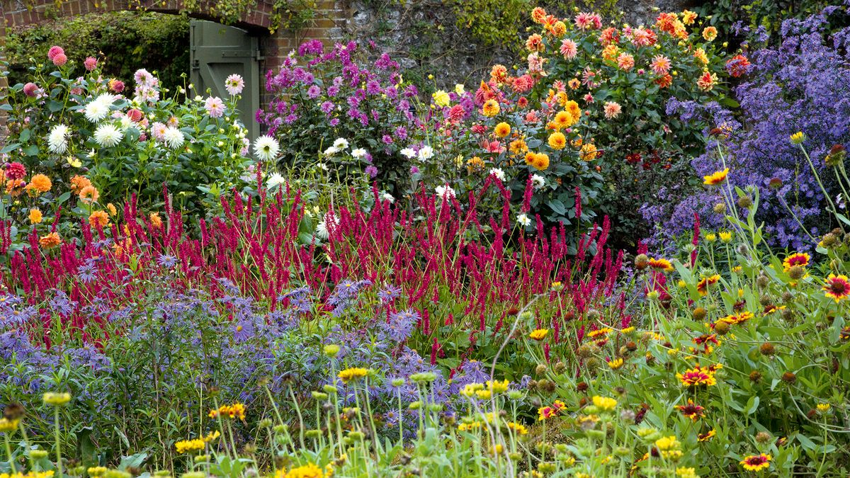 Chaos gardening is the easy gardening trend that makes the most of ...