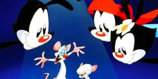 The Animaniacs and Pinky and the Brain