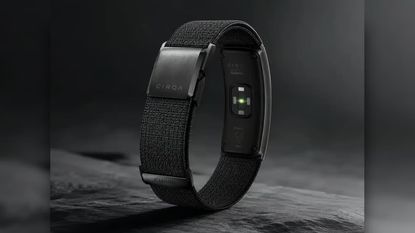 A leaked image purporting to show the Garmin Cirqa band.