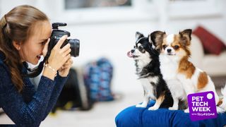 best camera for pet photography