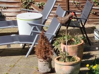 10x zoom on the Samsung Galaxy S20 Plus