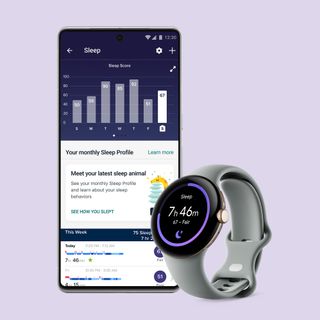 Fitbit Sleep Profiles on the Pixel Watch