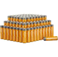 Amazon Basics 100 Pack AA High-Performance Alkaline Batteries:&nbsp;
