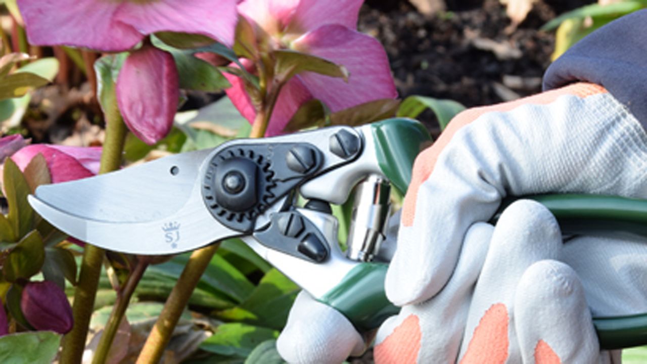 gardening gifts showing secateurs from Spear &amp; Jackson