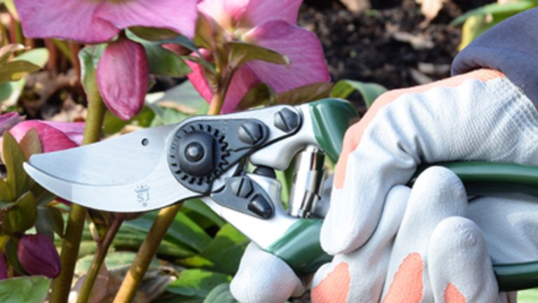 gardening gifts showing secateurs from Spear & Jackson