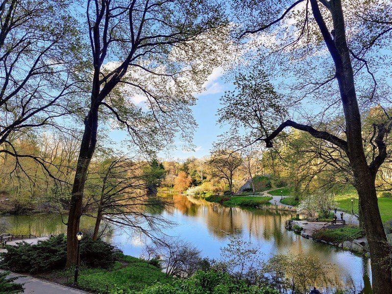OnePlus 8 Pro camera sample