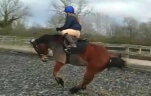 Amanda Chilts Smith — “Connor being a naughty pony”