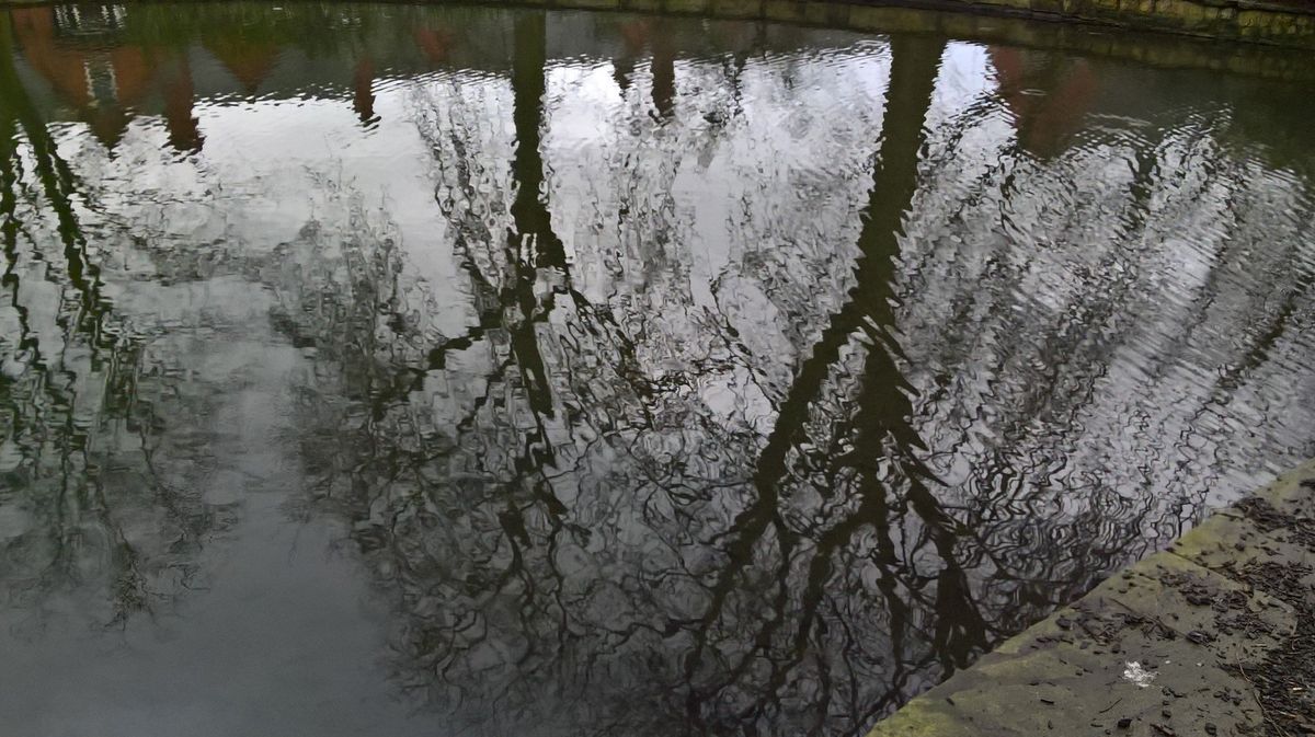 Lumia 550 camera sample