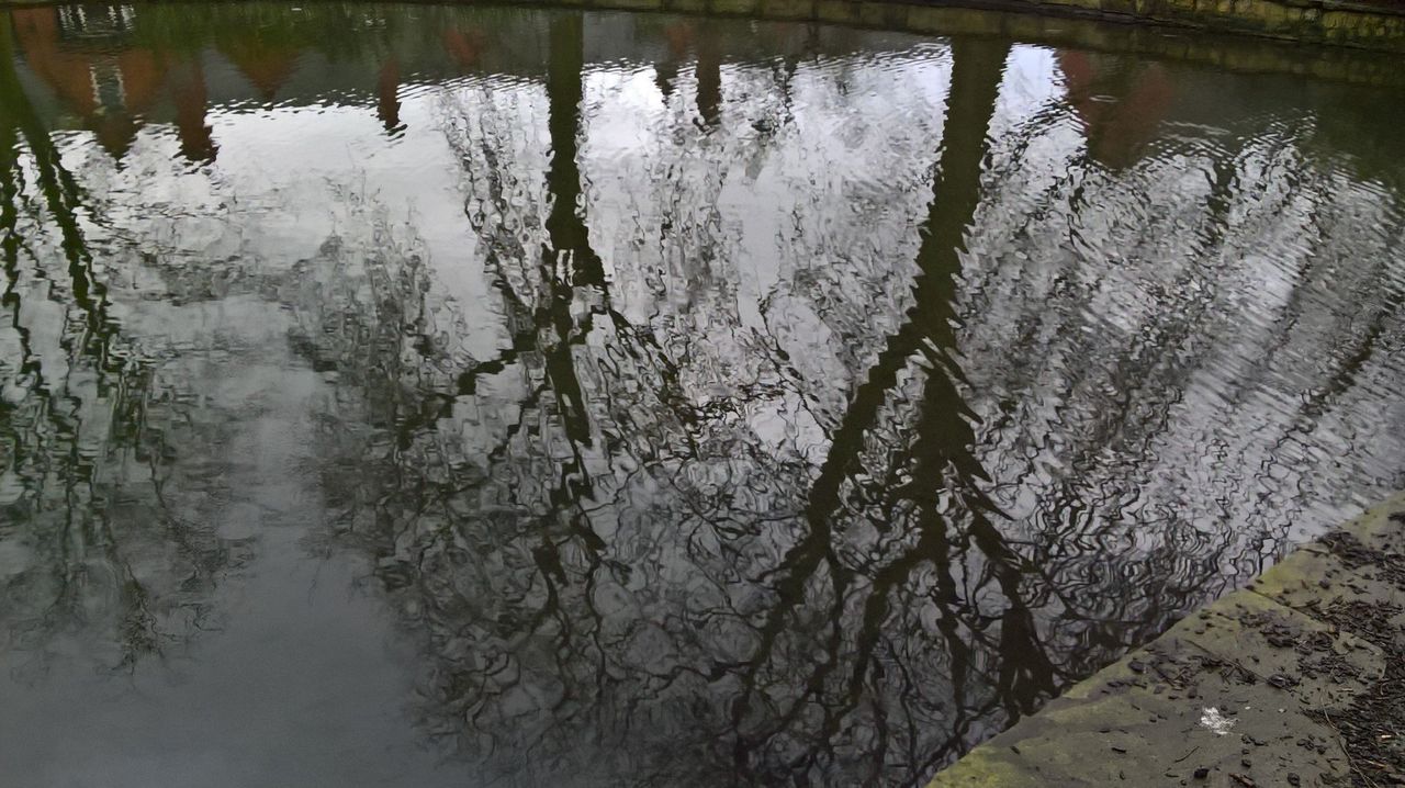 Lumia 550 camera sample